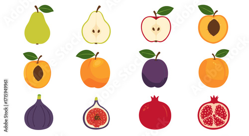 Colorful assorted fruit collection with playful cutaway views and fresh leaves