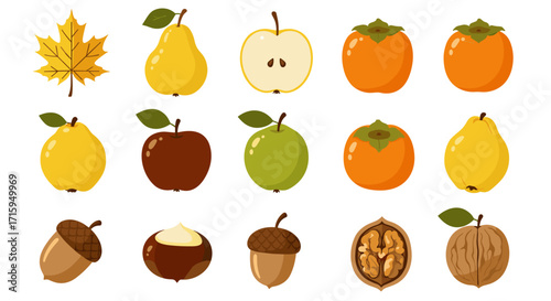 Autumn fruits and nuts collection in flat design with leaf