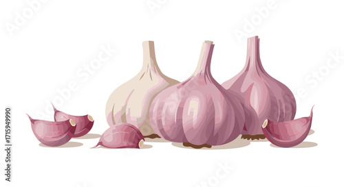 Realistic garlic bulbs and cloves on white background