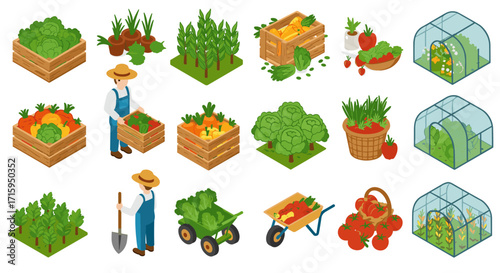 Isometric farming icons: vegetables and greenhouses for sustainable agriculture design