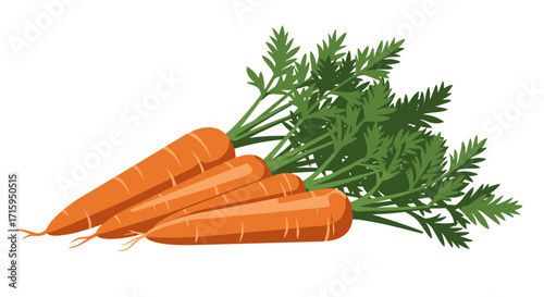 Fresh carrots with green leaves on white background in realistic style