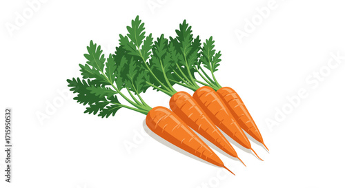Fresh carrot bunch with green leaves on white background in flat design
