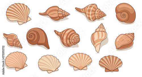 Collection of seashells in cartoon style featuring various shapes and textures