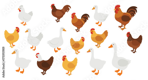 Flat farm animals: chickens, roosters, and geese set on white background