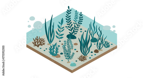 Isometric underwater scene with seaweed and coral on ocean floor