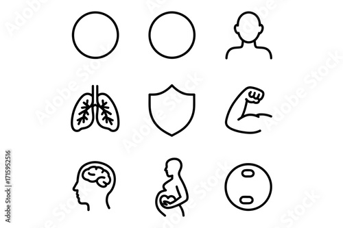 Illustration of two eggs, a person, lungs, shield, arm, head with brain, pregnant woman, scale