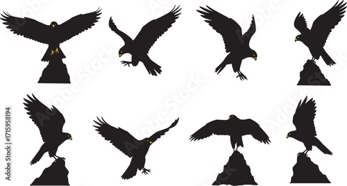 Silhouette eagle on rock, bird of prey, flying raptor, wild nature predator, majestic wings, falcon hunting, freedom flight, wildlife symbol