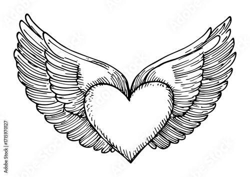 heart with angel wings hand drawn illustration