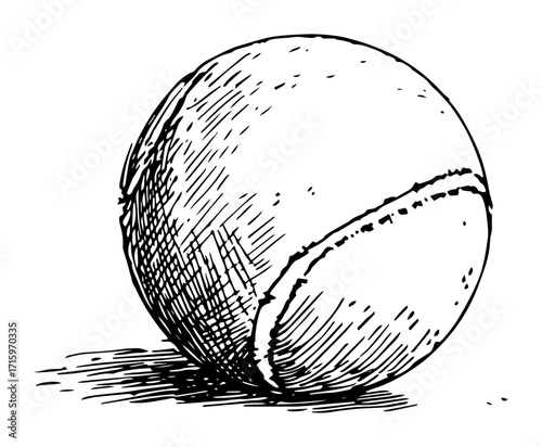 tennis ball toy for dogs hand drawn