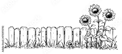 wooden fence with sunflowers drawing