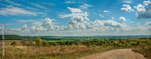 A dirt road leads forward into a landscape with hills, fields and forests under a blue sky