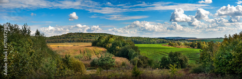 Panorama of green fields, arable land, road and forests under blue sky with white clouds