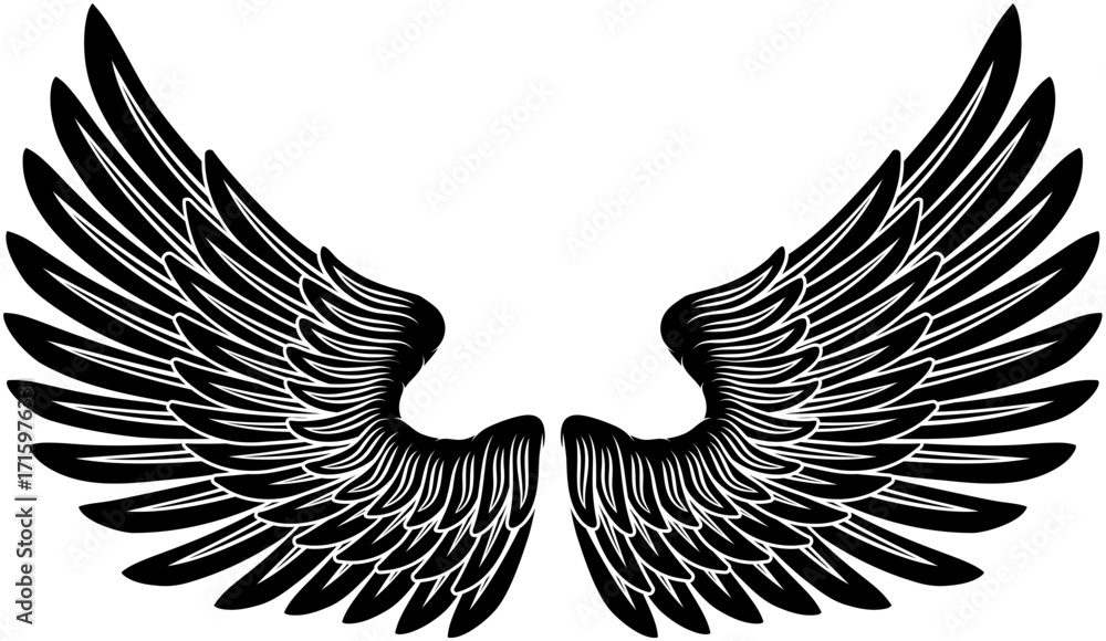 Fototapeta premium A pair of angel, eagle or pegasus feather wings illustration in an etched or engraving woodcut style