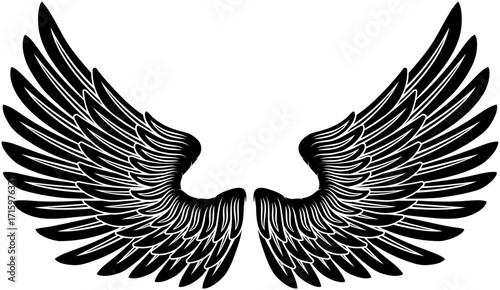 A pair of angel, eagle or pegasus feather wings illustration in an etched or engraving woodcut style