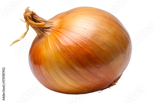 Wallpaper Mural Single golden onion bulb close up on transparent background Torontodigital.ca