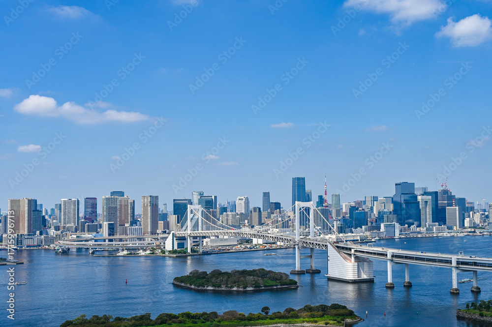 Naklejka premium 日本東京台場からの都市風景