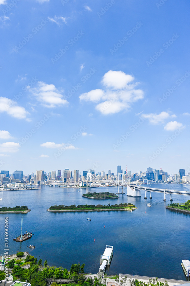 Naklejka premium 日本東京台場からの都市風景