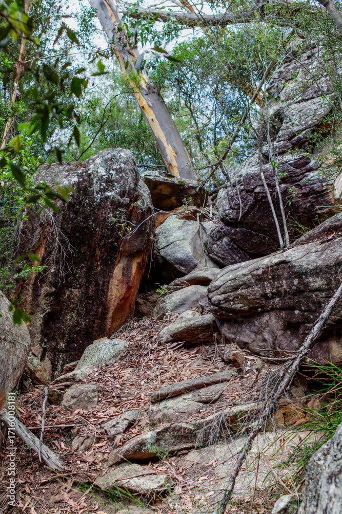 Fototapeta premium Tahmoor Gorge near Sydney, Australia