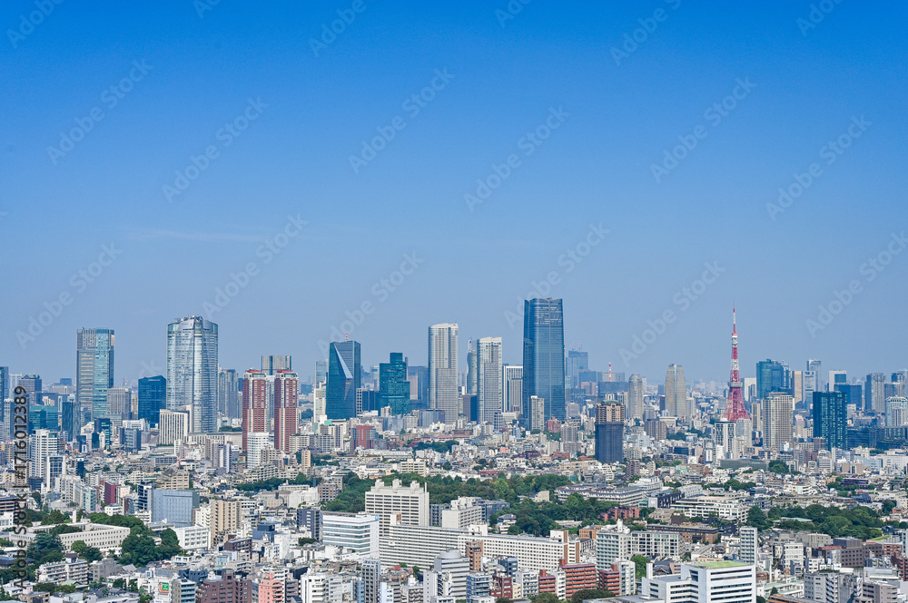 Obraz premium 日本の首都東京の都市風景