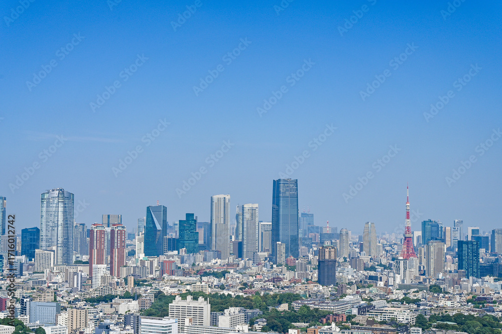 Obraz premium 日本の首都東京の都市風景