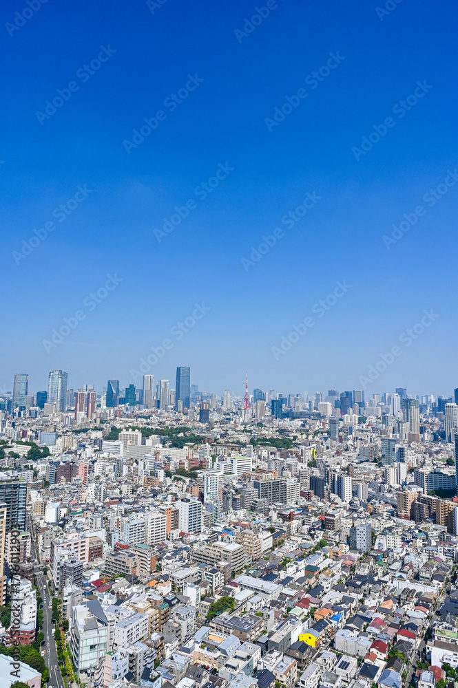 Fototapeta premium 日本の首都東京の都市風景