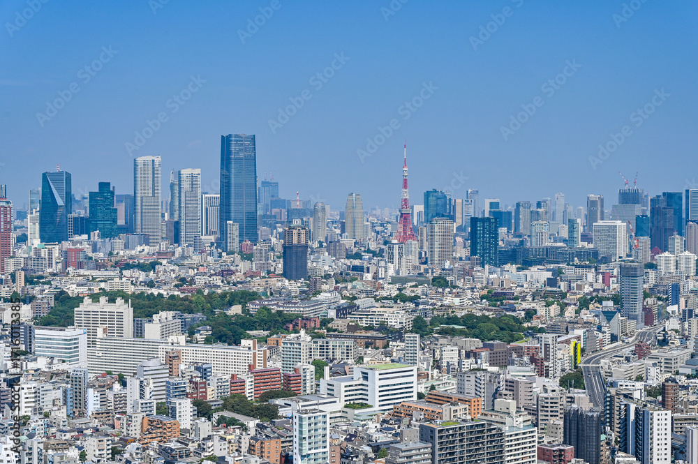 Fototapeta premium 日本の首都東京の都市風景
