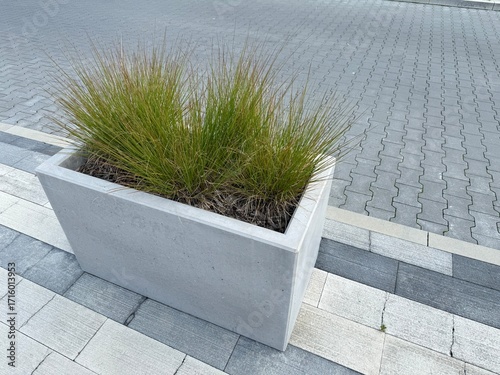 Modern concrete planter with clean lines and minimal design. Contemporary outdoor decoration for gardens, terraces, or patios.