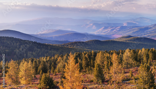 Autumn view, mountain landscape, mountain taiga, morning light	