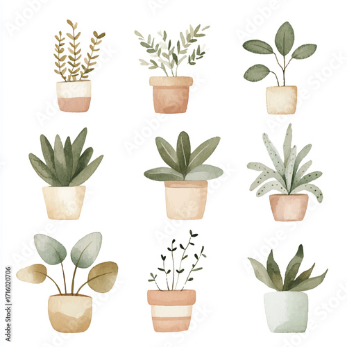 Collection of nine potted houseplants in various styles and sizes.