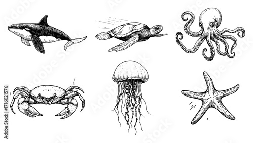 Marine Animals Sea Life Doodle Icons black shape vector laser cutting engraving monochrome print
