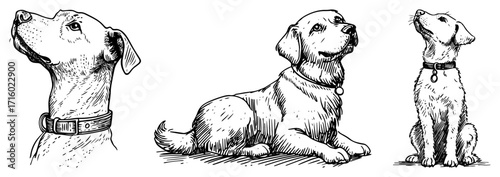 Dogs and Puppies Portraits and Poses Illustration Set black shape vector laser cutting engraving monochrome print