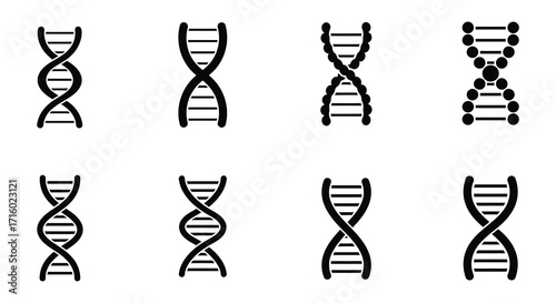 Simple black and white illustration of various dna strand structures