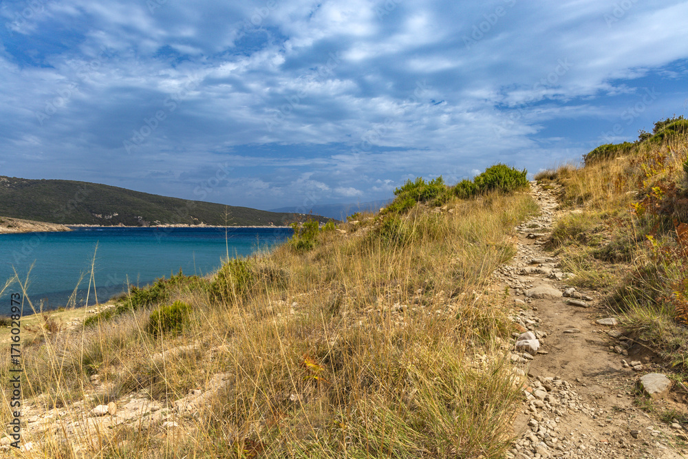 Obraz premium Wild sandy beach Podsilo on the island of Rab, empty beach without people, Rab, Croatia