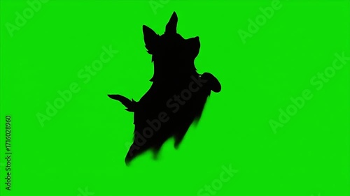 Playful dog silhouette leaping with joy against a vibrant green background