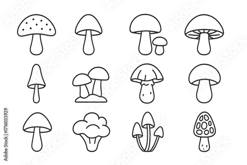 Mushroom line icon set vector. Fungi collection outline symbols. Forest fungus, champignon, amanita, psychedelic. Simple minimal linear pictogram for web, logo, food menu.