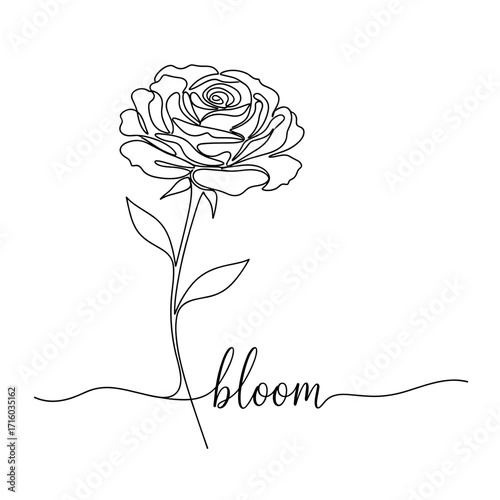 Illustration of a rose flower with the word bloom elegantly integrated in a simple line design