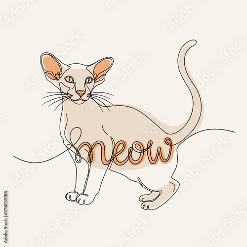 Illustration of a cat with the word meow creatively integrated in a playful design