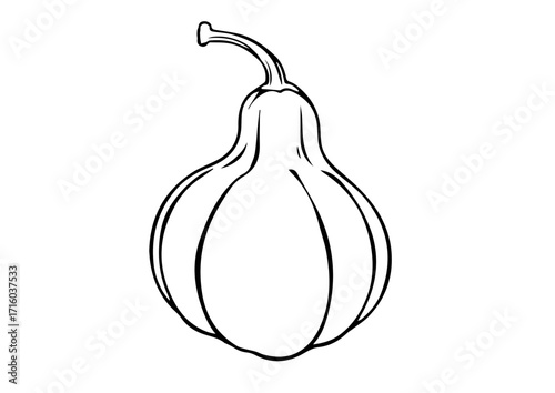 Outline of a gourd vegetable on white background for thanksgiving day  