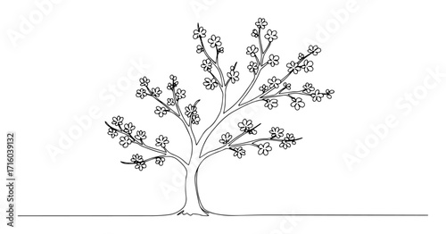 single one line drawing of a blossoming cherry tree spring concept