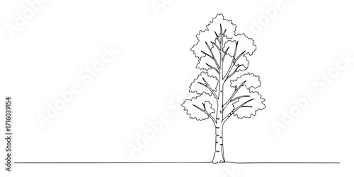 single continuous line drawing of a birch tree minimalist nature concept