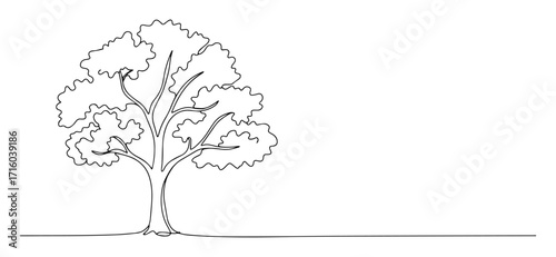 one continuous line drawing of a minimalist tree modern botanical illustration