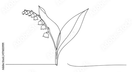 lily of the valley flower one line art drawing