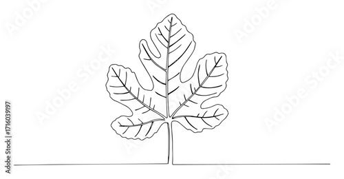 fig tree leaf continuous one line drawing