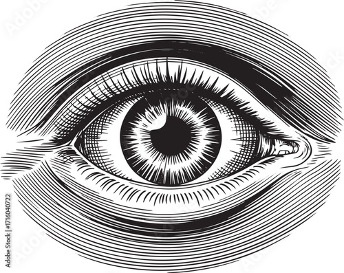 Detailed black and white engraving style illustration of human eye with precise hatching, cross hatching, and circular frame in vintage anatomical art