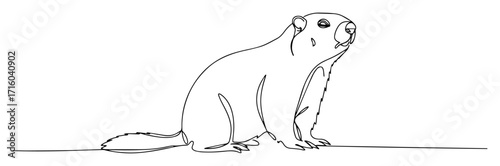 beaver sitting with tail visible monoline thin lineart vector illustration