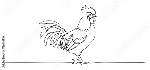 rooster standing proud monoline thin lineart vector illustration