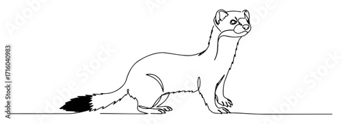 one continuous line drawing of a stoat or ermine wild animal