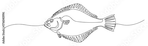 flounder fish continuous one line drawing