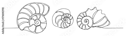 trio of ammonite fossils contour linework vector