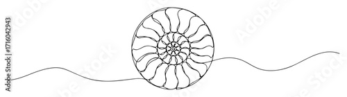 nautilus shell spiral fossil underwater monoline thin lineart vector design
